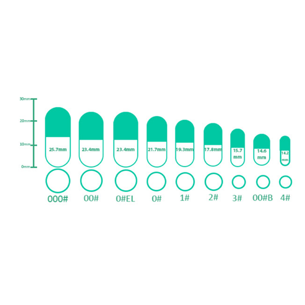 Size Customization