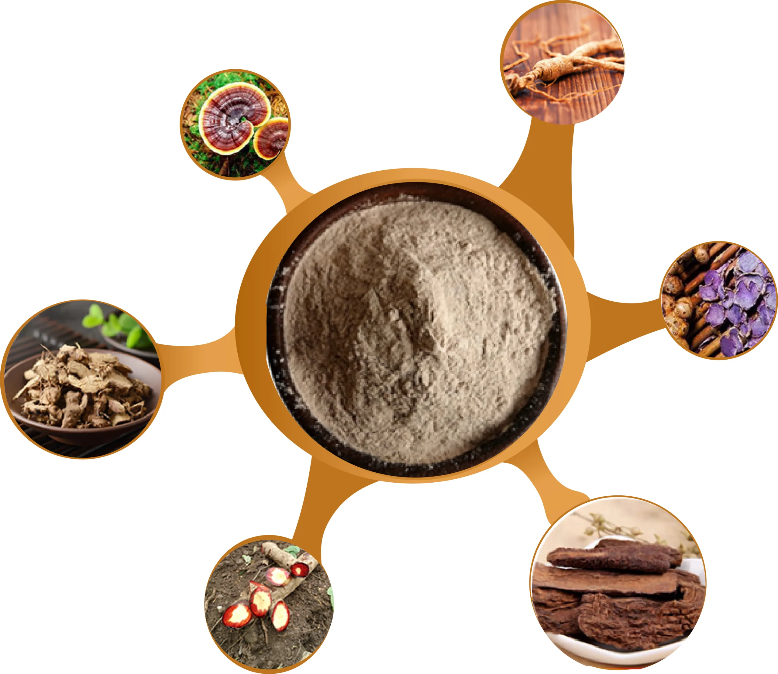 Wholesale Butea Superba Powder Boost Male Erection Prolong Sex Time